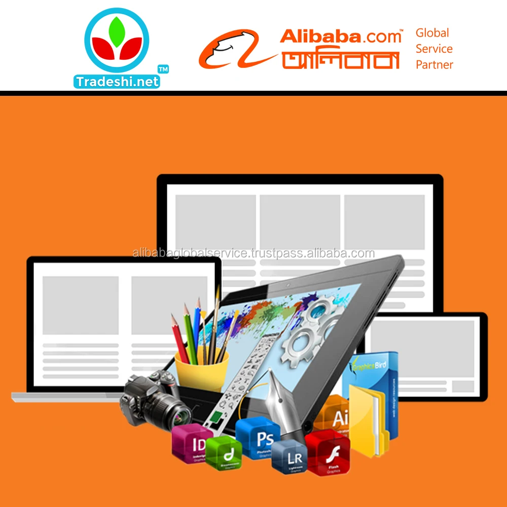 
Alibaba Mini Website Design 