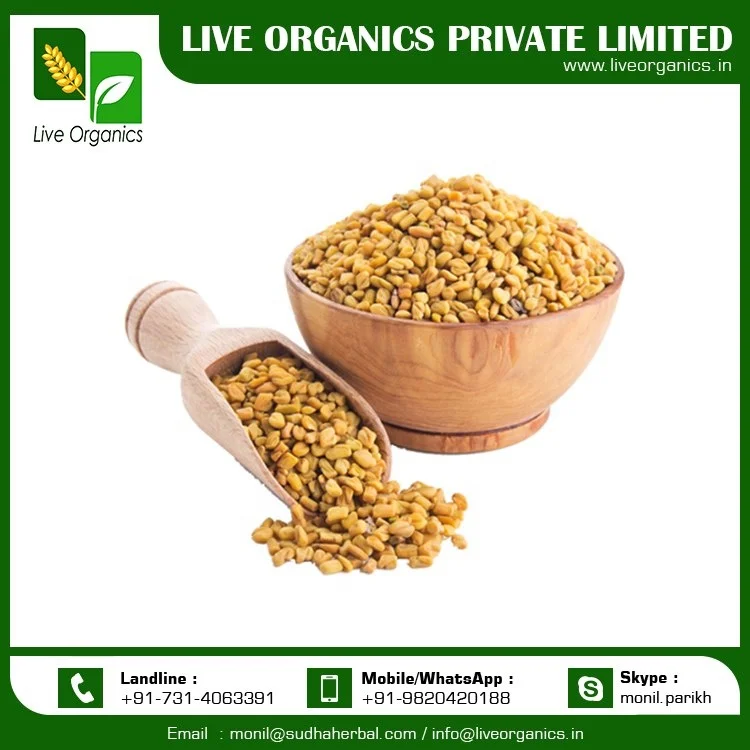 
Fenugreek Seeds from India 