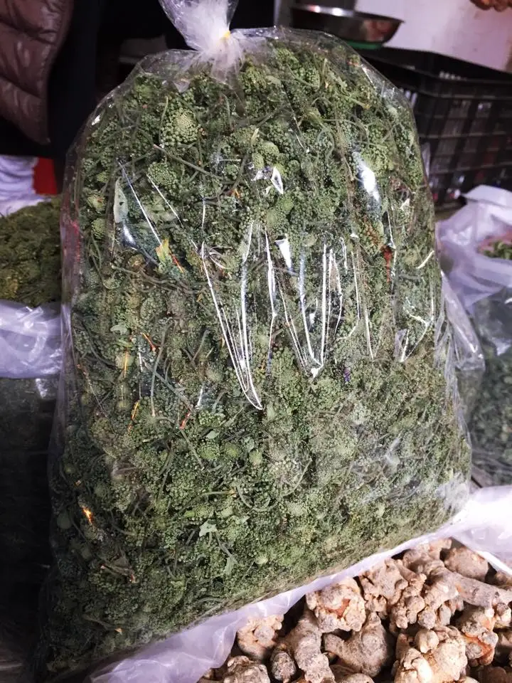 Panax Ginseng Flower/ Panax pseudoginseng Nees