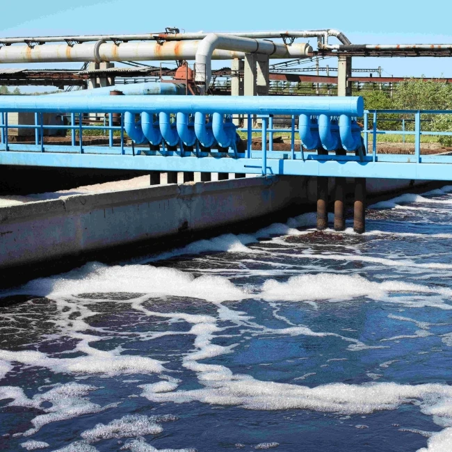 Biological microbes to control generation of hydrogen sulphide and ammonia in wastewater