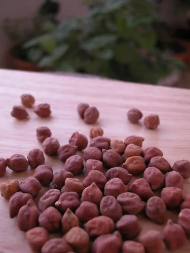 
Chickpeas | Bengal Gram | Garbanzo Beans | Des Chickpeas 