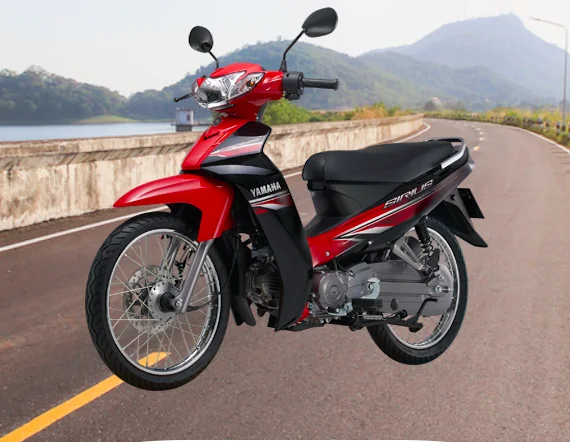 New Design Motorbike 110cc