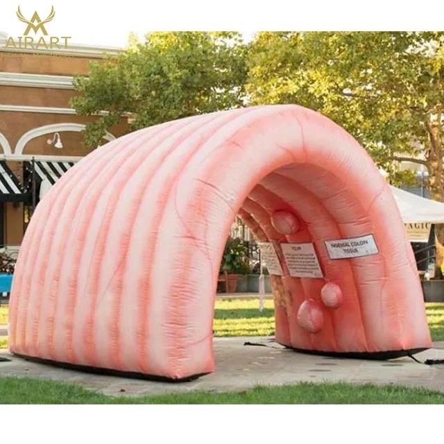 giant inflatable colon,custom inflatable organ tunnel