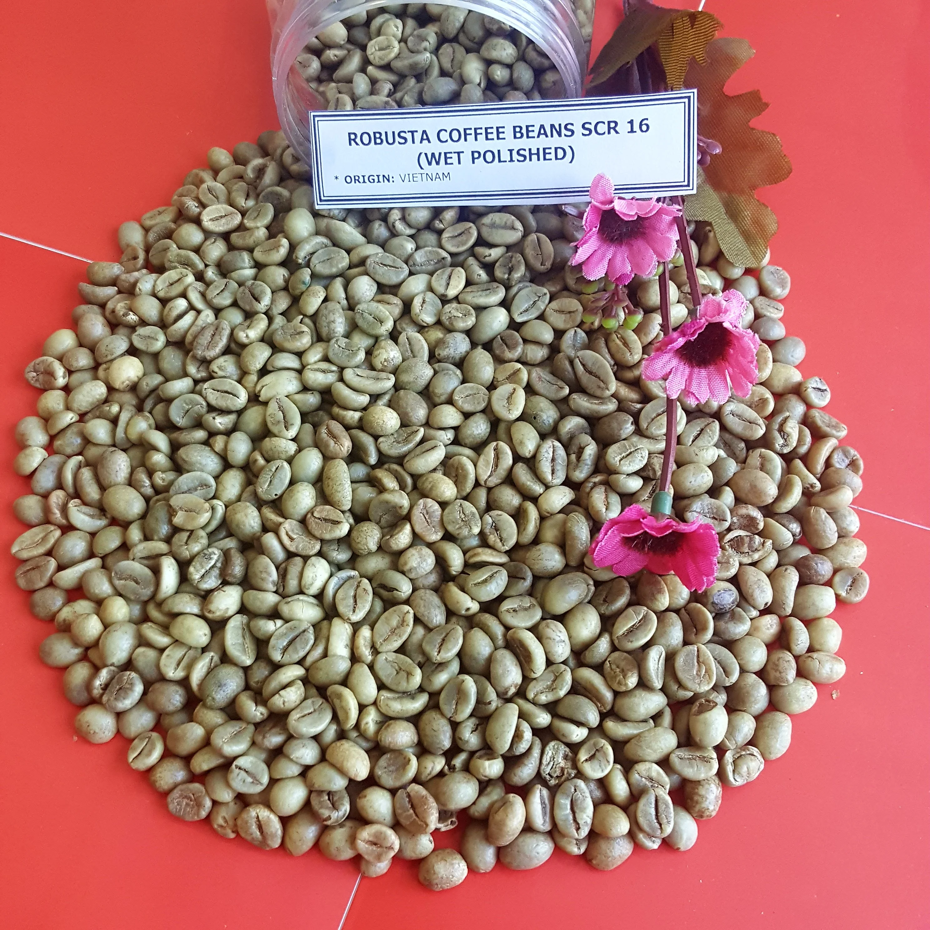 
VIETNAM HIGH QUALITY ARABICA GREEN COFFEE BEANS GOOD PRICE SCR13/ SCR16/ SCR18( +84989322607 whatsapp) 