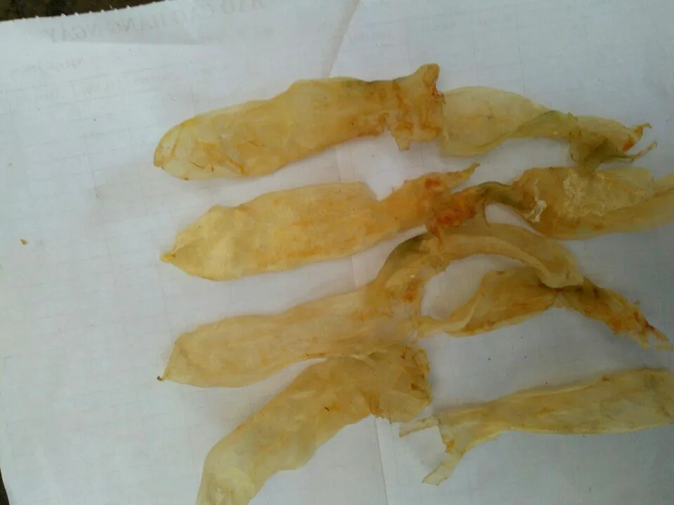 Croaker fish maw / Dried fish bladder