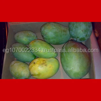 fresh mango fruit ready to export to Lithuania