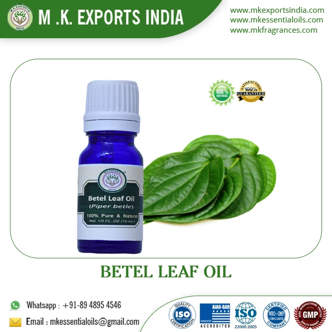 Premium Quality Cholesterol Free Betel Oil from Fresh Betel Leaves
