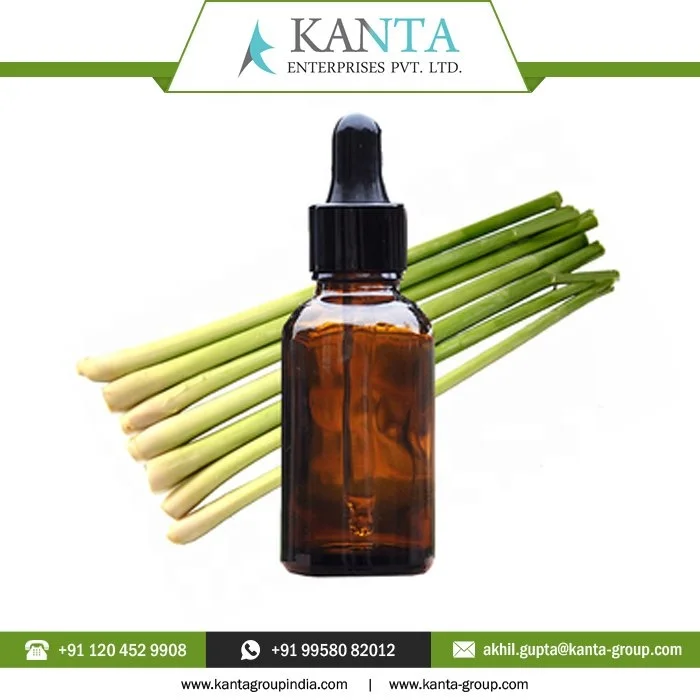 Factory Supply Pure Citronella Java Oil For Health Care available bulk at Affordable Price in India