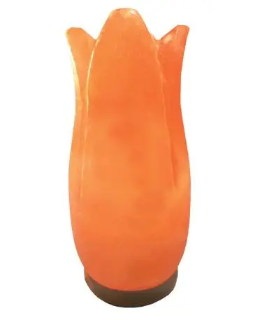 Elevate Your Ambiance with Rose-shaped Himalayan Pink Rock Salt Lamps from Sian Enterprises