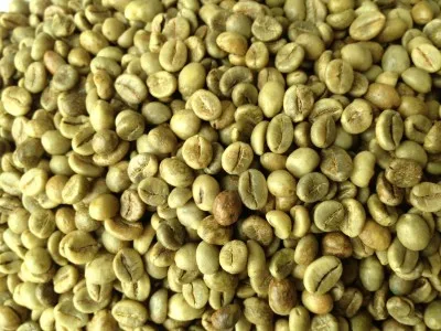 
Green coffee beans high quality factory 