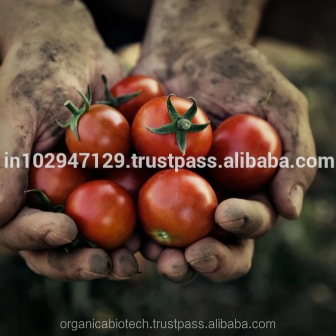 Органическое удобрение Magic Gro Plus выращивание томатов