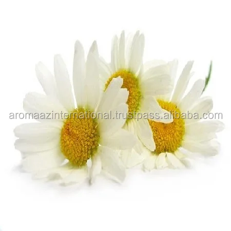 Сертифицированный GMP/ ISO немецкий гидрозол ромашки