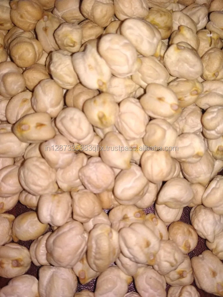  Dry Indian White Chick Peas High Protein / Kabuli For Bulk Wholesale