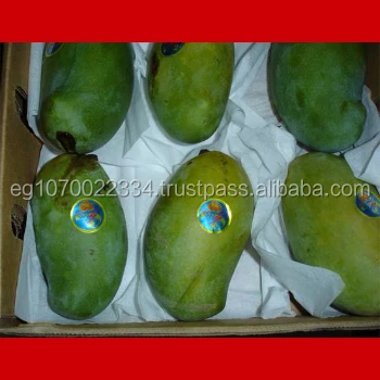 fresh mango fruit ready to export to Lithuania
