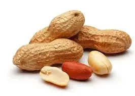 
Groundnut 