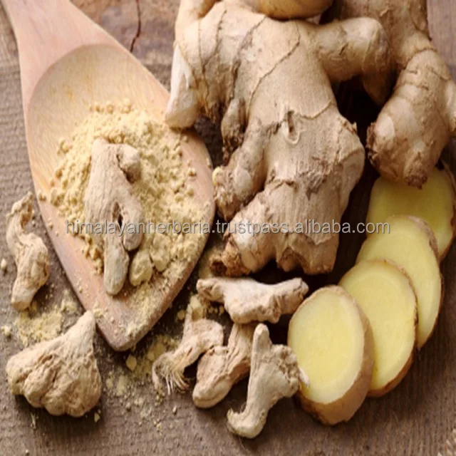 Factory Supply Ginger Root Extract Powder 100% Ginger Extract Ginger Extract Powder