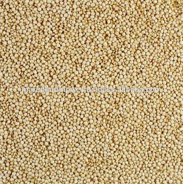 
Rich Quality Natural and Organic Quinoa Seed 