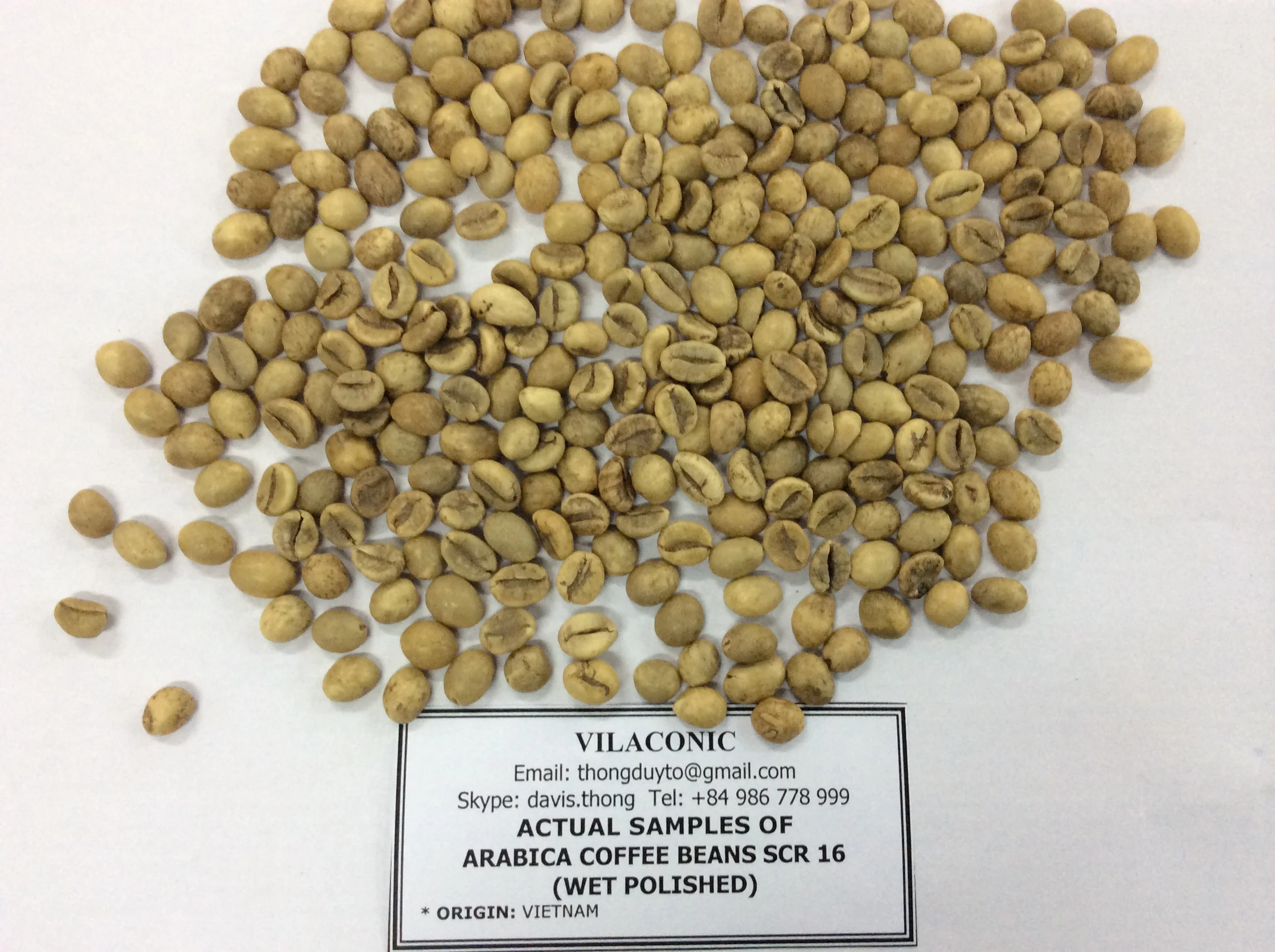 Высокое качество Арабика робуста зеленая кофейная фасоль из Вьетнама Whatsapp:+ 84398885178 Джинни Доан