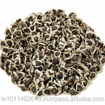 Семена Моринги в упаковке 1 кг