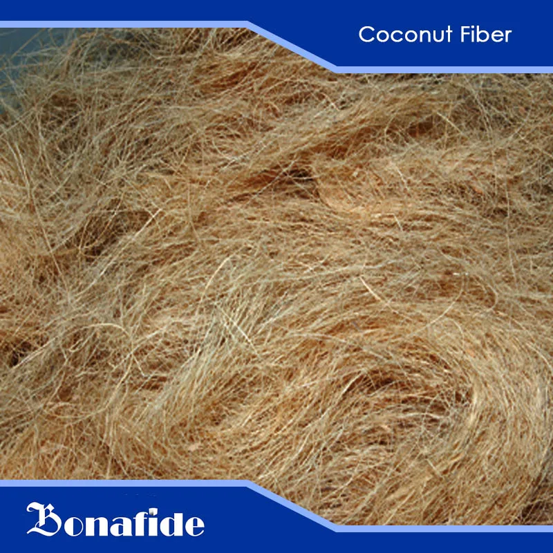 Indonesia Java Golden Brown Coconut Coir Fiber long Natural Home Decoration Coconut Fiber in bulk
