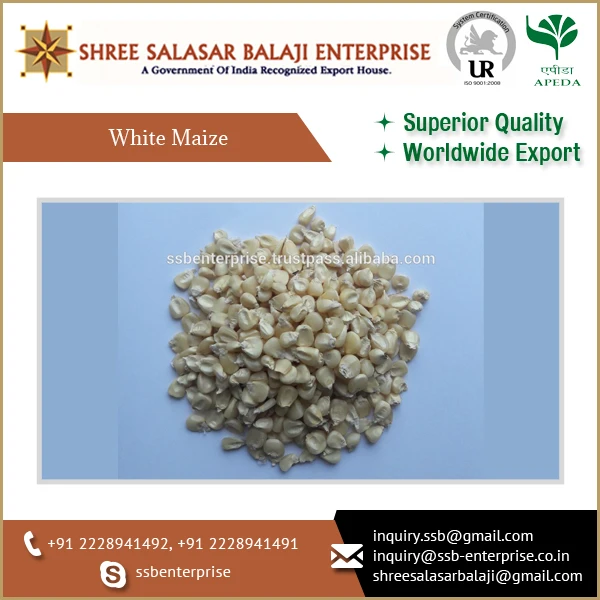 Привлекательная цена, лучший сорт, вкусная белая кукуруза, кукуруза для оптового экспорта