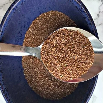 Top Quality Teff Grain for sale