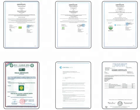 VIETNAM Coconut Milk Powder