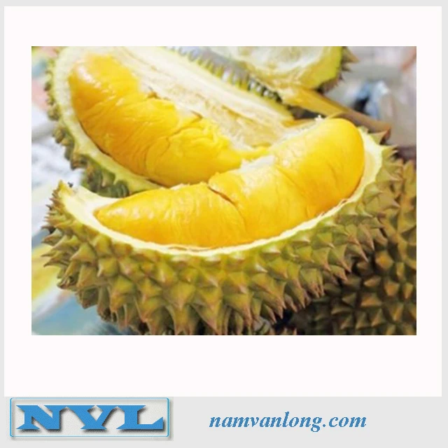 FRESH DURIAN at HIGH QUALITY & THE BEST PRICE.