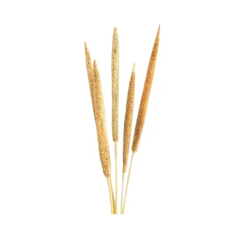 Экологичная натуральная палочка для украшения свадьбы