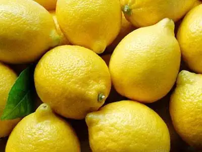 
Fresh Citrus Fruits /Yellow Lemon & Green Lime, yellow Eureka fresh lemon 