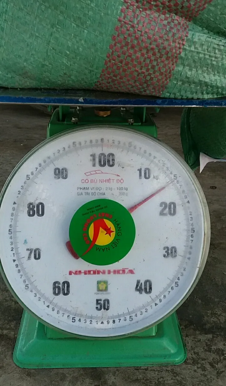 dried fish scale in bulk for collagen making origin Vietnam Hang Xanh Co., Ltd - CONTACT TO +84 911 695 402