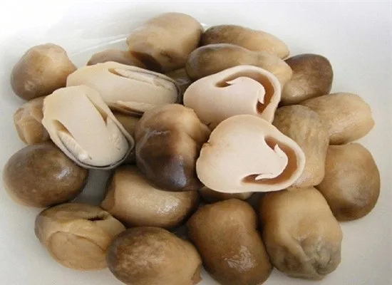 WHOLESALE FRESH STRAW MUSHROOM IN BULK (Whatsapp: +84 845 639 639) in 2021