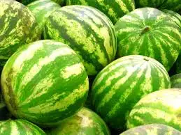 
Fresh Watermelon Export Standard with Best Price Maturity: 90%-100% 