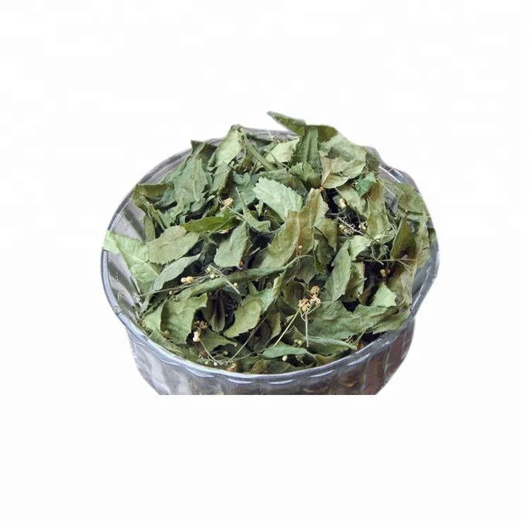 Organic Neem Leaf at Affordable Price