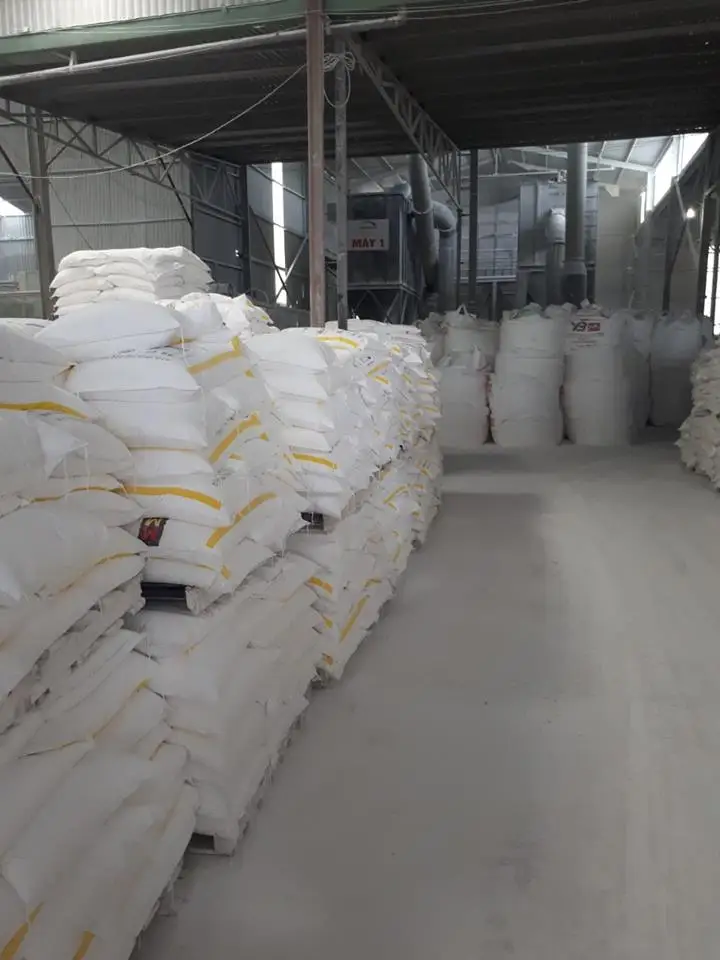 Uncoated Vietnam CaCO3 Powder for Ceramic