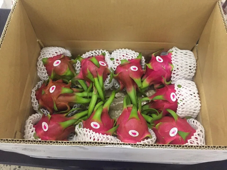 
Vietnam High Quality Fresh Dragon Fruit 2020/ Whatsapp +84 845 639 639 