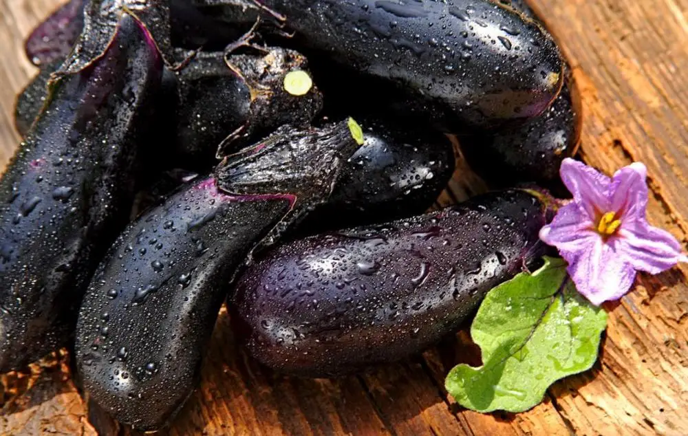 Дегидратирующие овощи продукты Натуральные сушеные ломтики баклажана фрукты