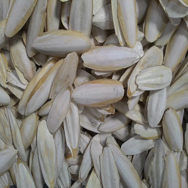 Dried Cuttlefish bone/ cuttlefish from Vietnam 2021/ Ms. Esther (WhatsApp: +84963590549)