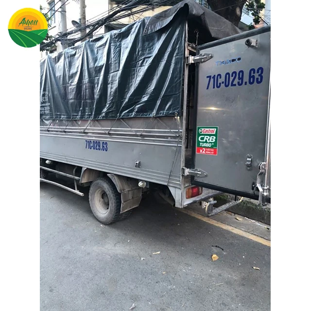 LOW PRICE LOGAN RAMBUTAN FROM VIET NAM