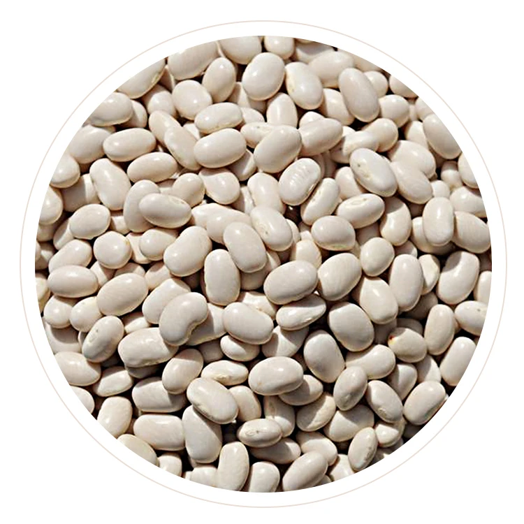 Высококачественная сушеная белая фасоль японского типа