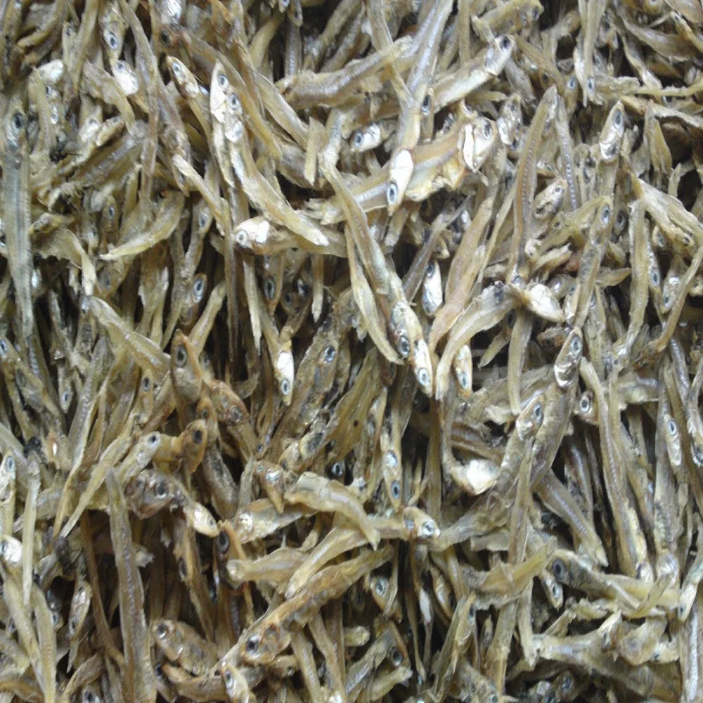 Wholesale Dried Fish / Dried Anchovy