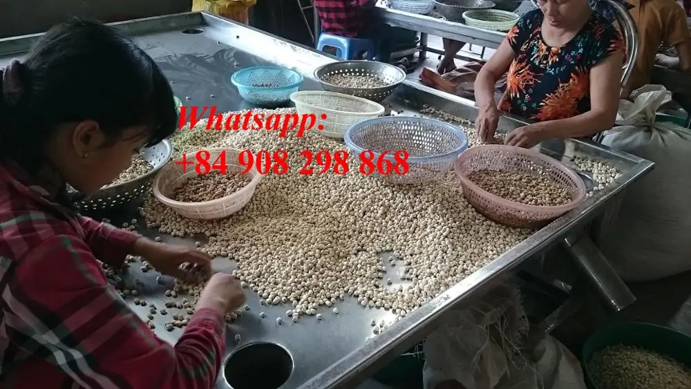 the high quality lotus seeds/ Vivian Ha +84 33 8820462