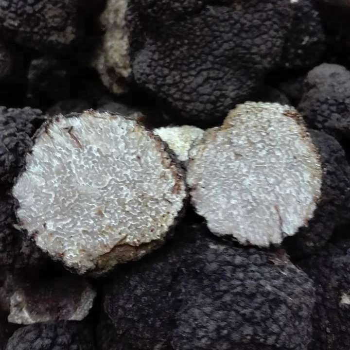 
ITALIAN FOODS made in Italy products ready for export 