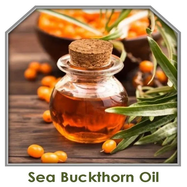 Get Sea Buckthorn Carrier Oil at bulk prices