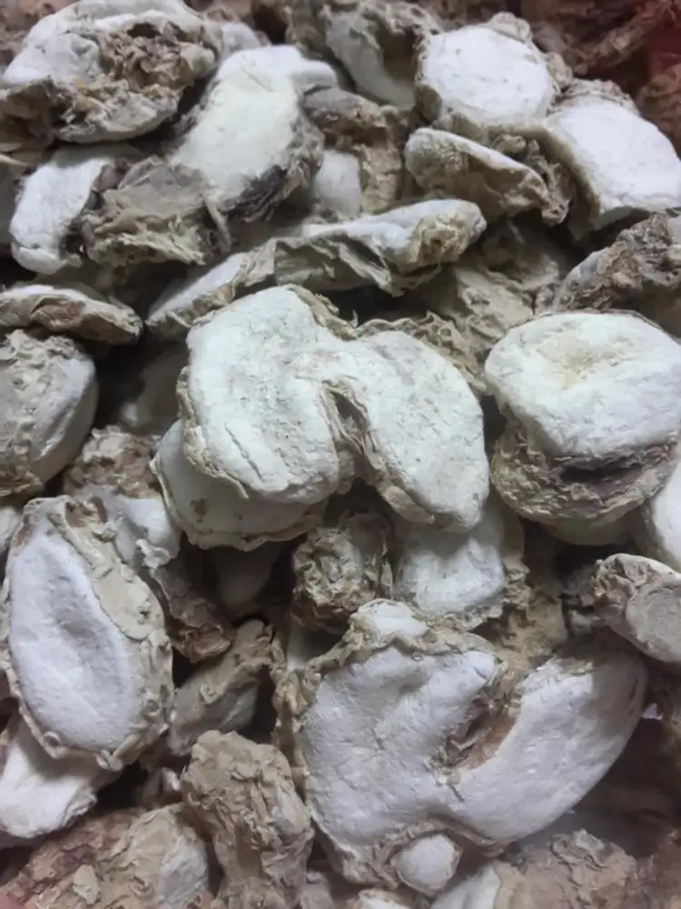 Fresh SAND GINGER top quality, contact +84984418844 w