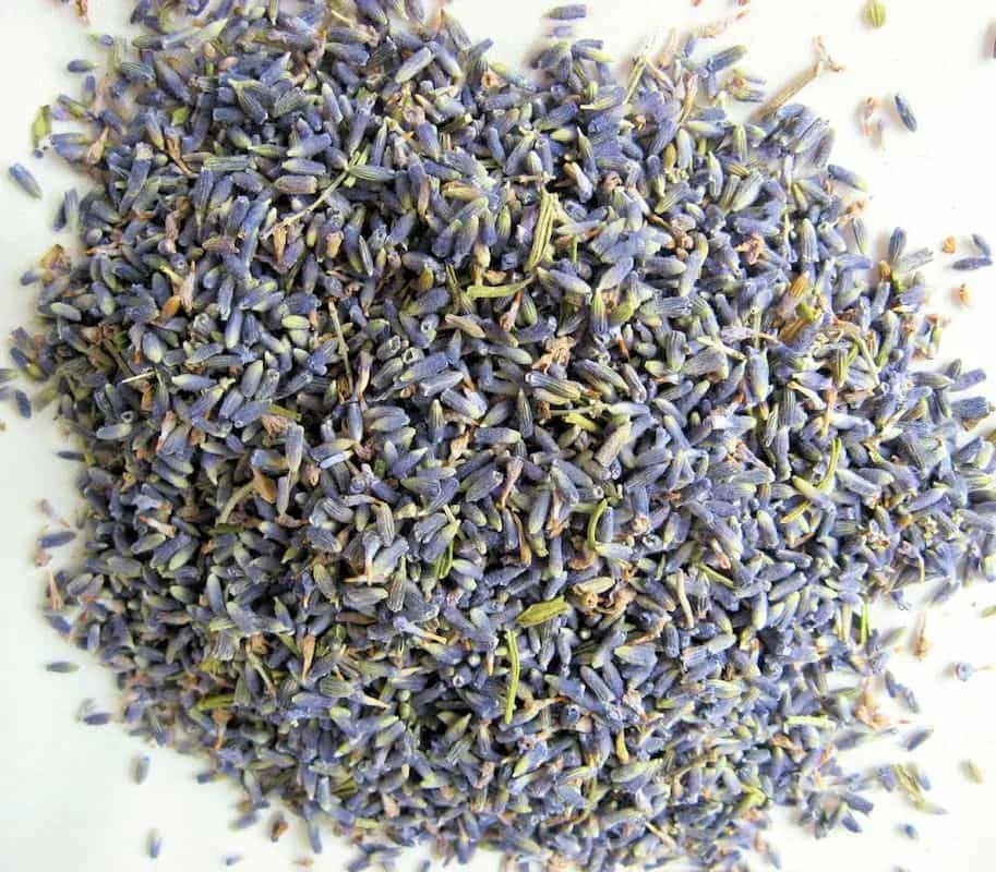 Dried lavender