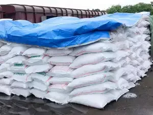 
Urea 46% Nitrogen fertilizer / Prilled / Granular 