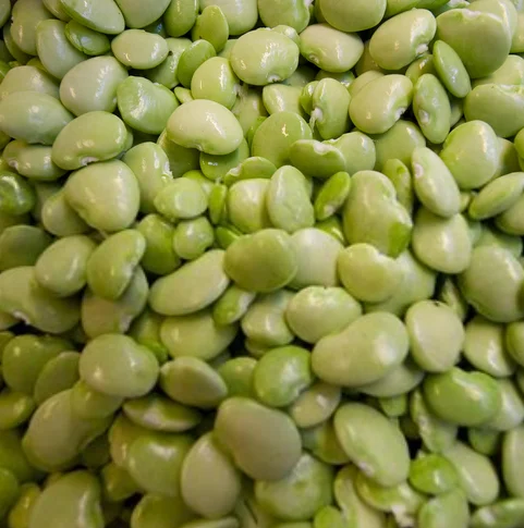 
BIG WHITE KIDNEY BEAN LARGE WHITE KIDNEY BEAN LIMA BEAN 