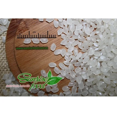 NEW-CROP HIGH QUALITY SUSHI RICE WHOLESALE
