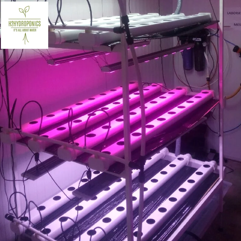 
Hydroponic Controllers and Mixers For Greenhouses and Professional Growers 